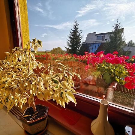 Apartman Adrianka Turčianske Teplice Eksteriør billede