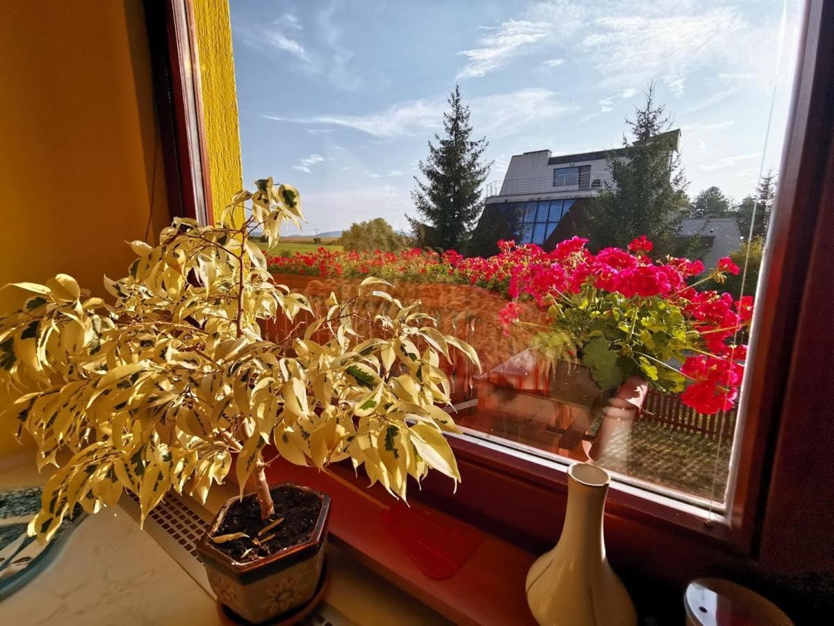 Apartman Adrianka Turčianske Teplice Eksteriør billede